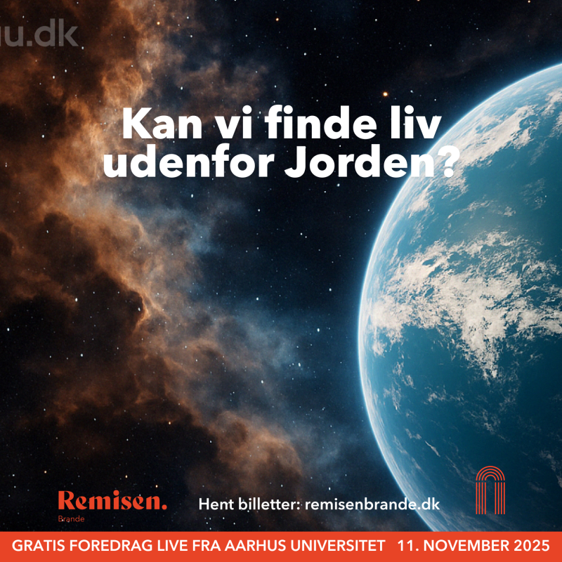 Et billedet hvor man kan se noget af kolden, og en masse stjerner