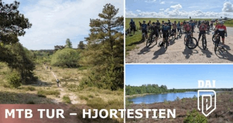 mtb-tur