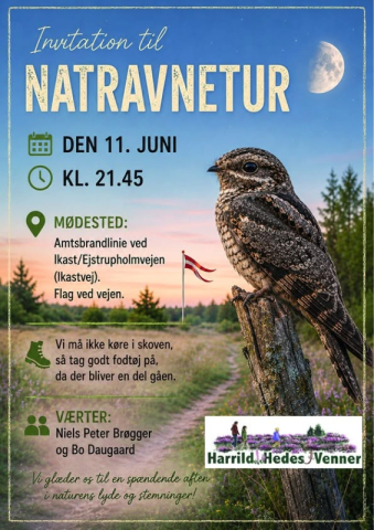 Natravnetur