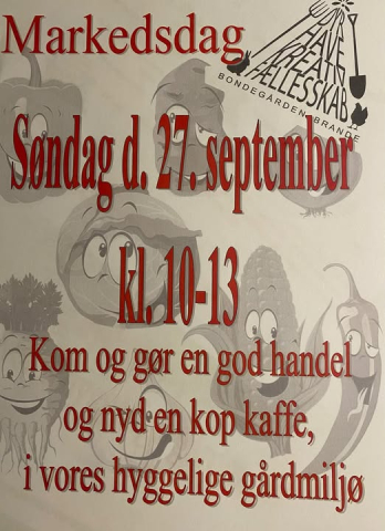 Markedsdag