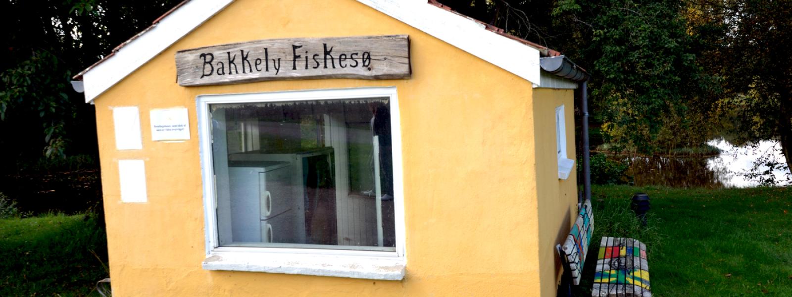 Bakkely Fiskesø